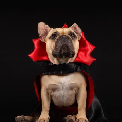 Capa Drácula
