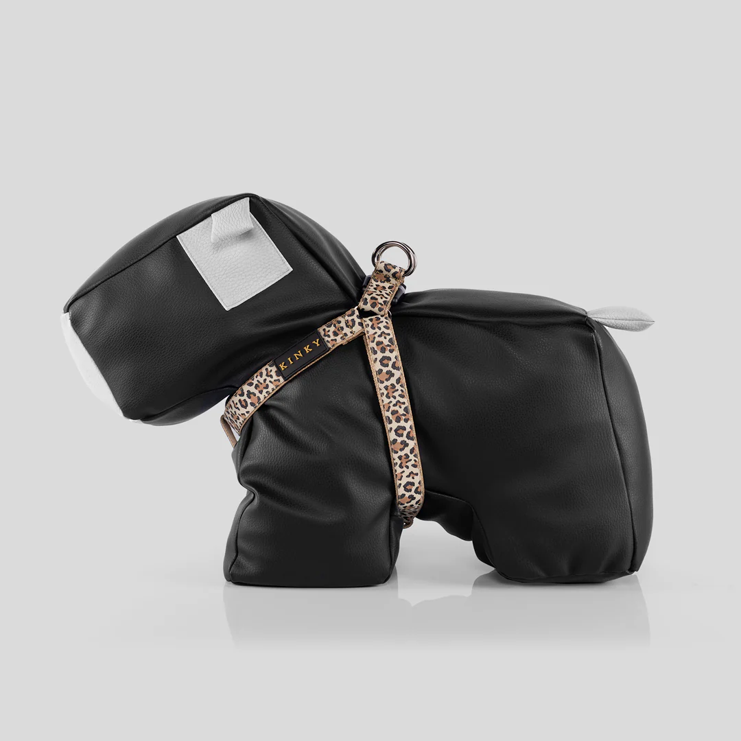 Arnes Basico Step in Cafetto Divine Leopardo