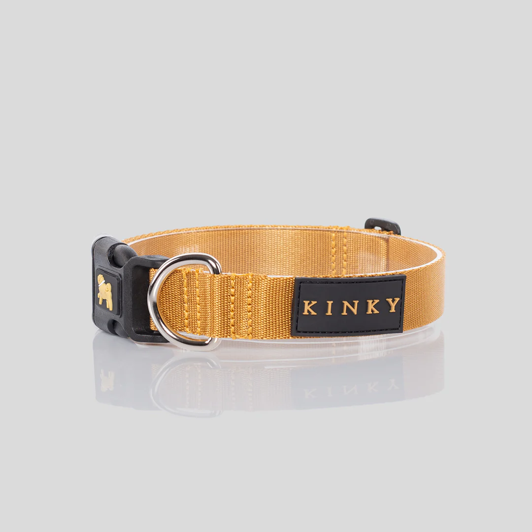 Collar Básico Dorado