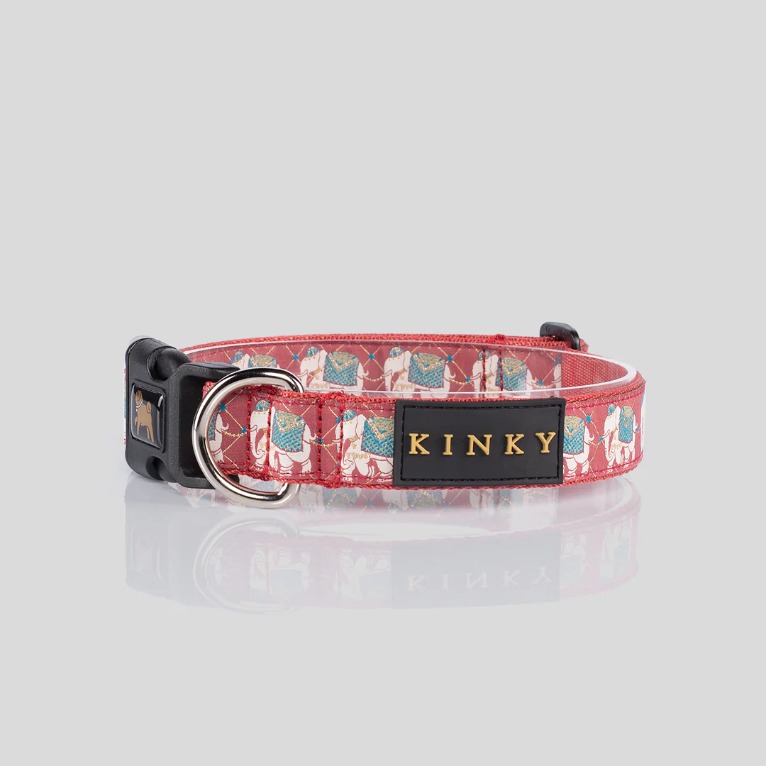 Collar Cinta Divine Elefantes