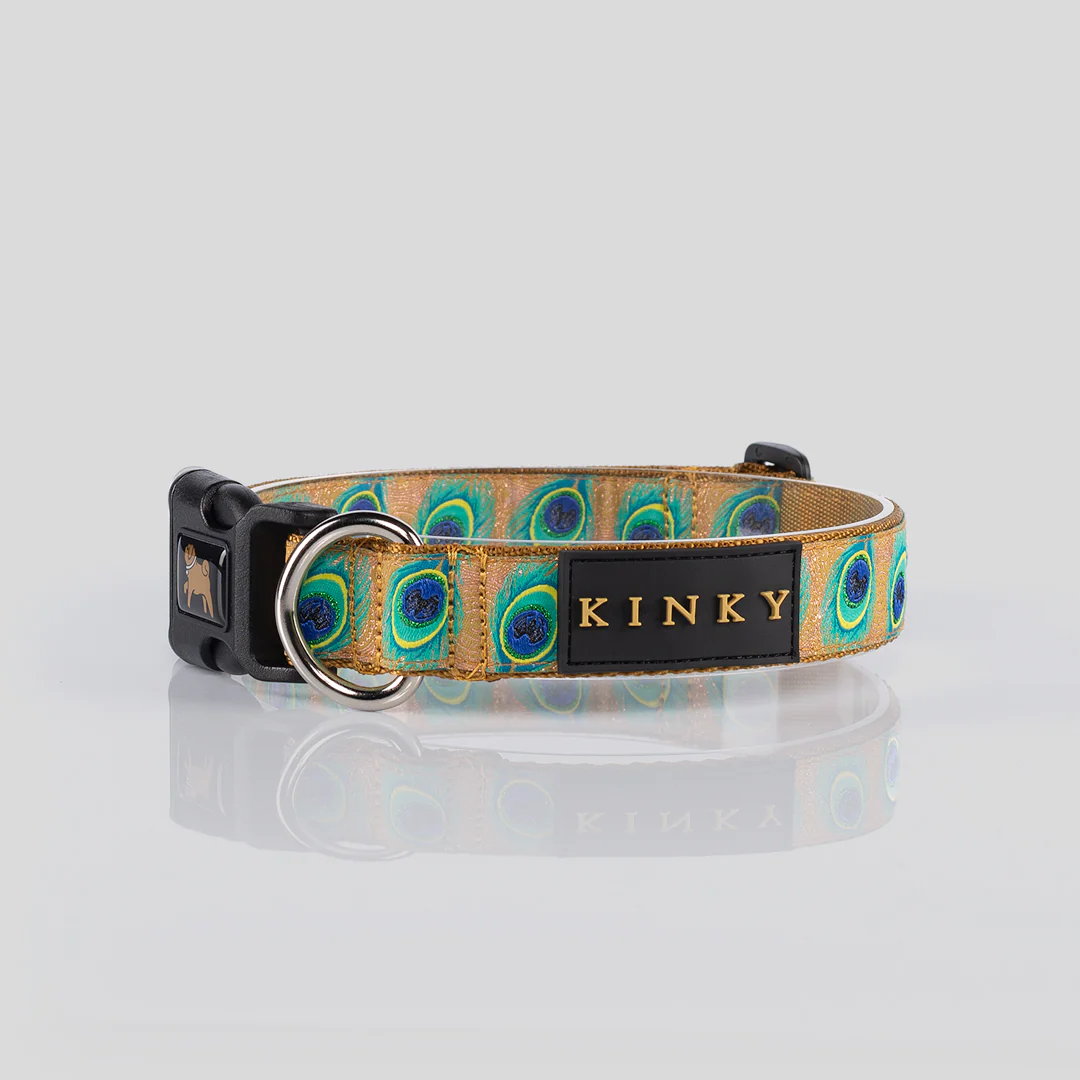 Collar Cinta Dorado Divine Plumas Reales
