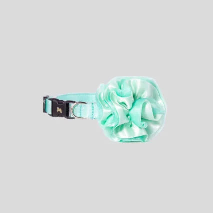 Collar Mini Básico Menta con Flor