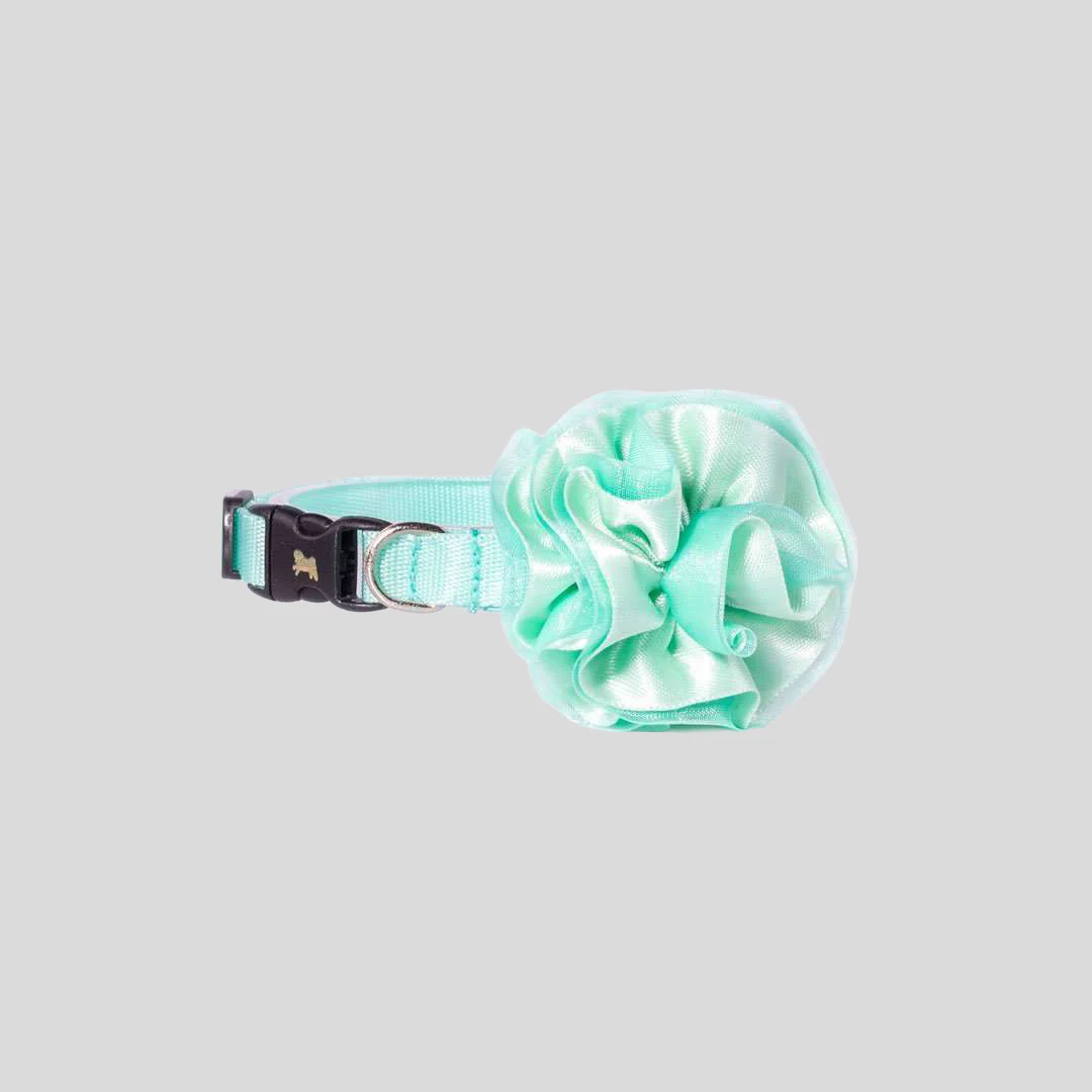 Collar Mini Básico Menta con Flor