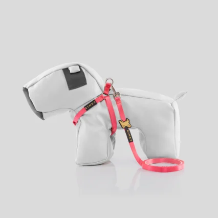 Conjunto Arnés Básico Mini Step In Salmón