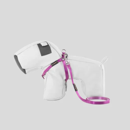 Conjunto Arnés Básico Mini Step In Berry