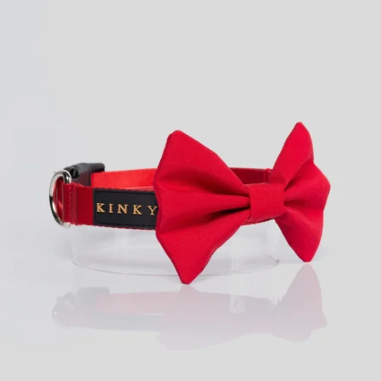 Collar Básico Rojo con Corbatín