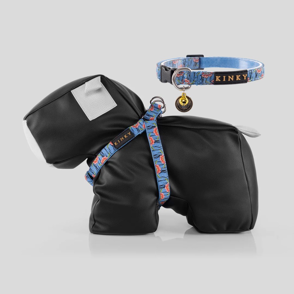 Conjunto Arnes Cinta Step In Acuarela Divine Lottos (Mini Perro)