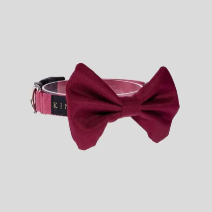 Collar Básico Vino Tinto con Corbatín XS