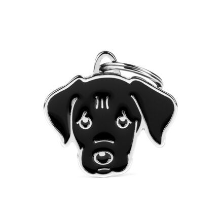 Placa Friends Labrador Negro