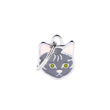 Placa Friends Gato Europeo Atigrado